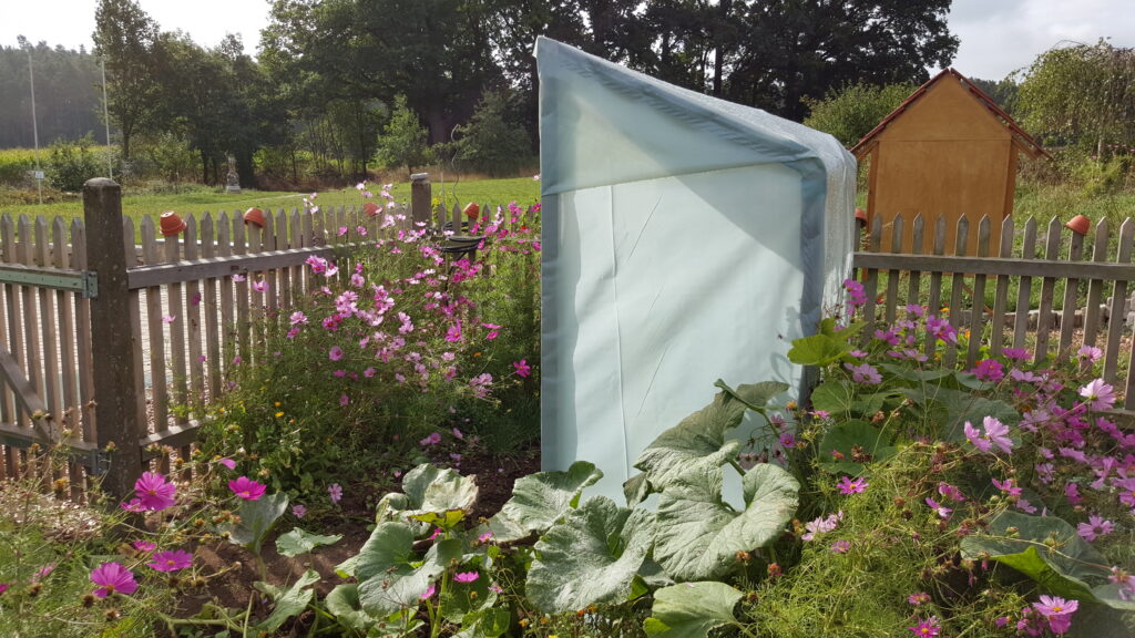 Garten mit Tomatenhaus