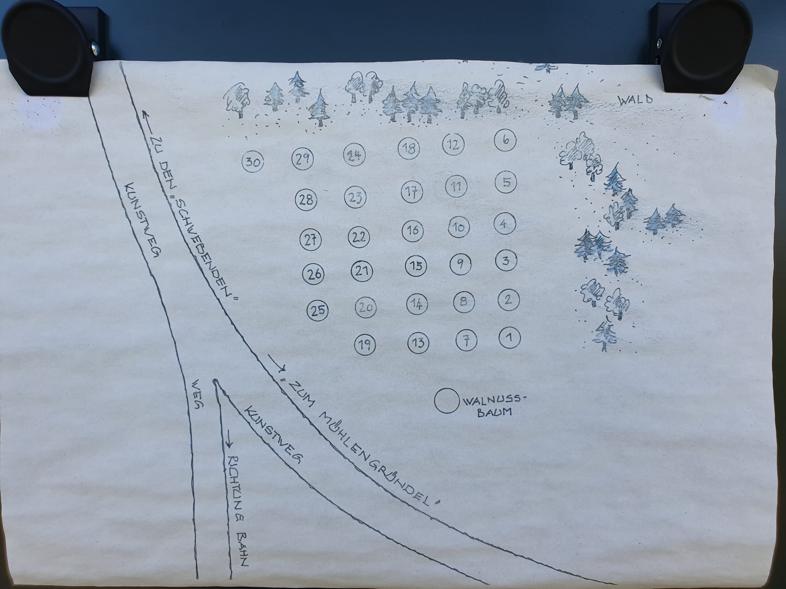 Plan Baumpatenwiese